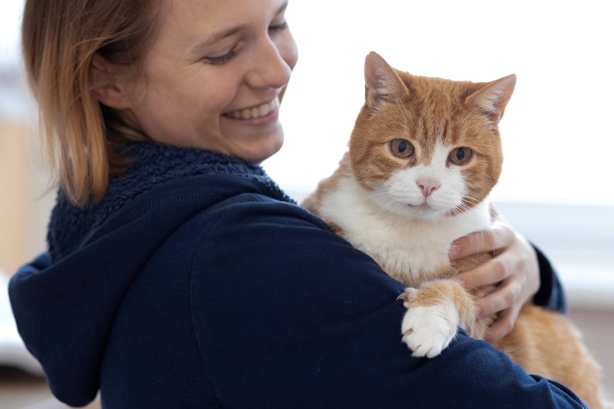 Katzenfreundliche Praxis | Tierarztpraxis Alte Feuerwache – Mülheim